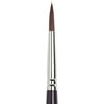 thumbnail image 3 of Winsor & Newton Galeria Brush, Short Handle, Round, 8, 3 of 7