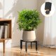 thumbnail image 2 of Soporte para Plantas JND Ajustable para Interior/Exterior para Macetas de 20-30 cm, 2 of 6