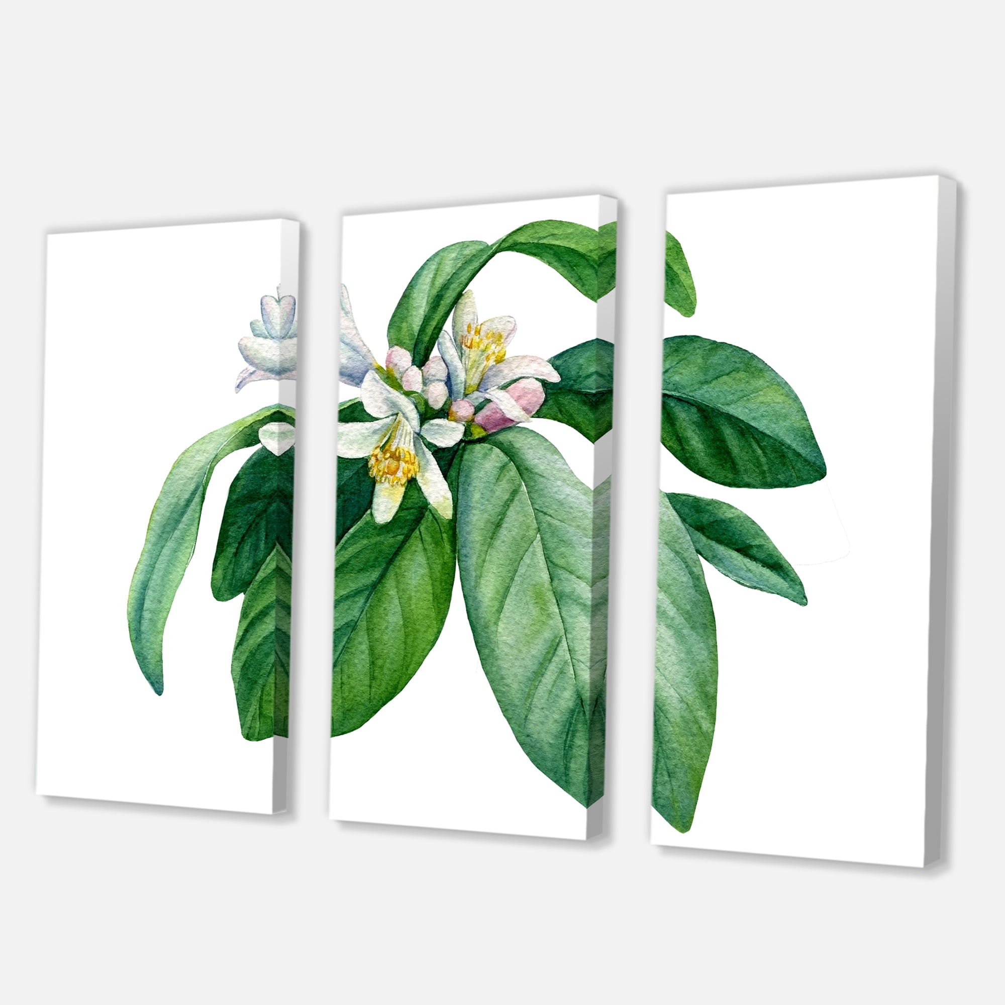 Designart ' Flowering Mandarin With Branch ' Traditional Canvas Wall Art Print