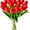 Red, variant on MAMOWEAR 12pcs Artificial Tulip Silk Flowers Mini Tulip Real Touch Fake Flowers Bouquet for Home Kitchen Wedding Decorations