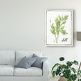 thumbnail image 3 of Trademark Fine Art 'Watercolor Herbs III' Canvas Art by Grace Popp, 3 of 4