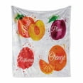 thumbnail image 1 of Fruit Soft Flannel Fleece Throw Blanket, Watercolor Grunge Background with Paint Splashes Peach Raspberry Plum and Orange, Cozy Plush for Indoor and Outdoor Use, 50" x 60", Multicolor, by Ambesonne, 1 of 6