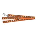 thumbnail image 2 of Pumpkin Spice Lead, 2 of 3