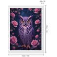 thumbnail image 2 of Diamond Art Kits for Adults - Enchanted Owl Among Pink Roses 5d Diamond Painting for Adults, Diamond Art for Adults Beginners, Frameless Diamond Painting Kits for Adults for Home Wall Decor, 2 of 7