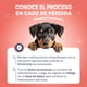 thumbnail image 4 of Link Kit Mascotas Microchip + Smartchip Mediano 3.5 cm, 4 of 7