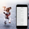 thumbnail image 2 of Dog Collar Gps Tracking Device Dog Gps T-Racker Real Time Pet Gps T-Racker Location & Activity T-Racking Collar with Alarm for Dogs and Cats App Control Dog Vibration Collar for Dogs, 2 of 7