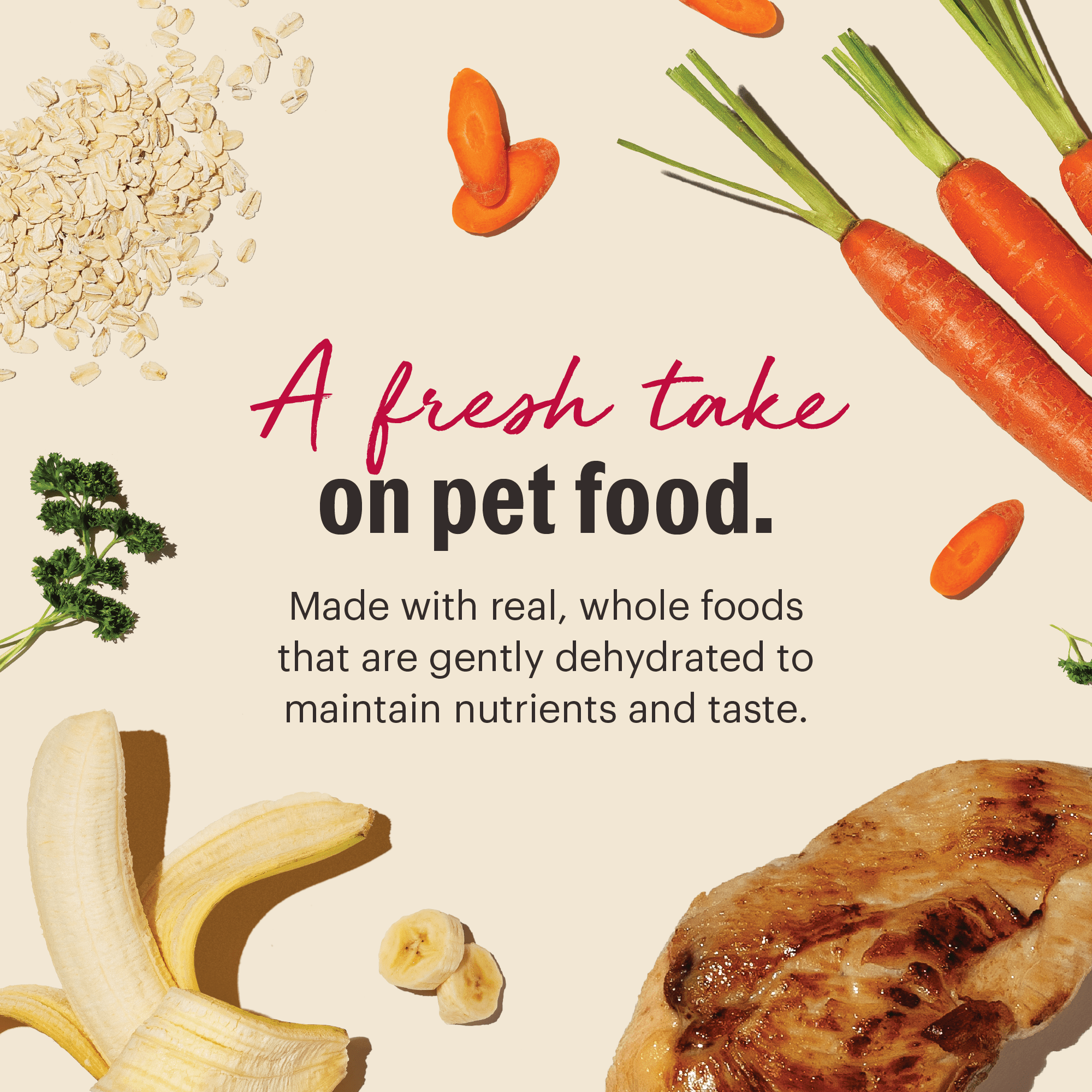 The Honest Kitchen Wholemade Whole Grain Chicken Recipe, Human Grade Dehydrated Dog Food, Just Add Water, Supports Digestion, Skin & Coat, Topper for Dry or Wet Dog Food, 10 lb Box Makes 40 lbs