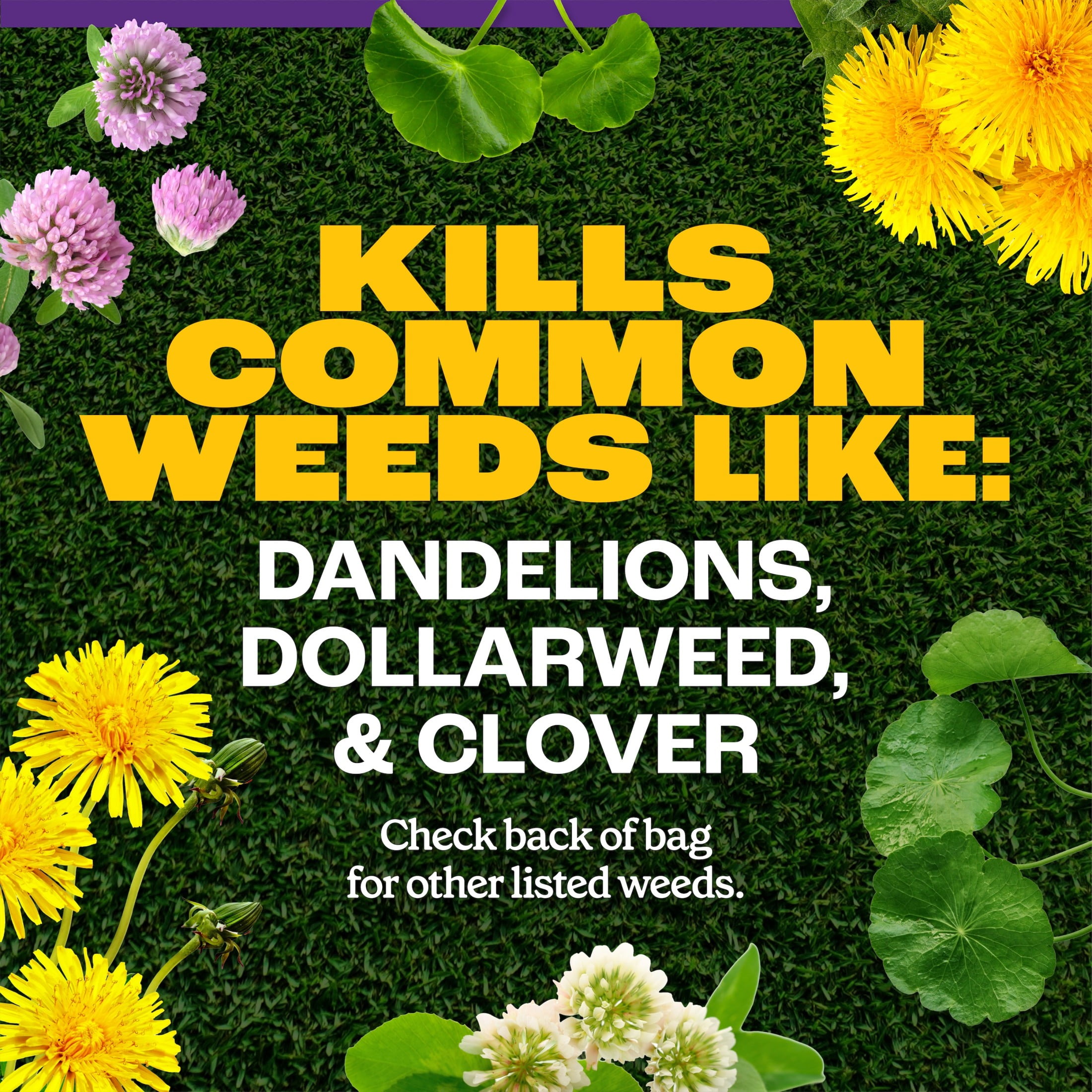 Pennington Full Season Southern Weed and Feed with Crabgrass Control, 25-0-14 Fertilizer, 8 lb., 2.5M Coverage