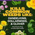 thumbnail image 4 of Pennington Full Season Southern Weed and Feed with Crabgrass Control, 25-0-14 Fertilizer, 8 lb., 2.5M Coverage, 4 of 12