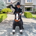 thumbnail image 3 of WondeRides Kids Ride on Horse Boys Toy Black Size 4 for Kids Age 4-9 (36 inch Height), Plush Walking Animal Mechanical Riding Horse Pony M447, 3 of 9