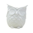 thumbnail image 2 of figatia Flowerpot Indoor Plant Pot Owl Shape Cute Japanese Planter Container for Indoor Decoration Office Home Balcony No listen White, 2 of 8