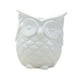 thumbnail image 2 of Maceta con forma de búho, bonita maceta de cerámica decorativa, maceta de búho para No escuches blanco, 2 of 9