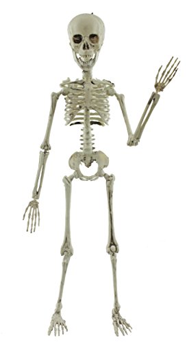 skeleton doll