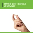 thumbnail image 4 of DaVinci Labs Mega Probiotic ND 50 - Support Gut Health* - 60 Vegetarian Capsules, 4 of 7