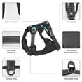 thumbnail image 6 of Fotbe Galaxy With Ufo Pattern Dog Harness, No-Pull Pet Harness with 2 Leash Clips, Adjustable Soft Padded Dog Vest with Easy Control Handle for Large Dogs-Small, 6 of 6