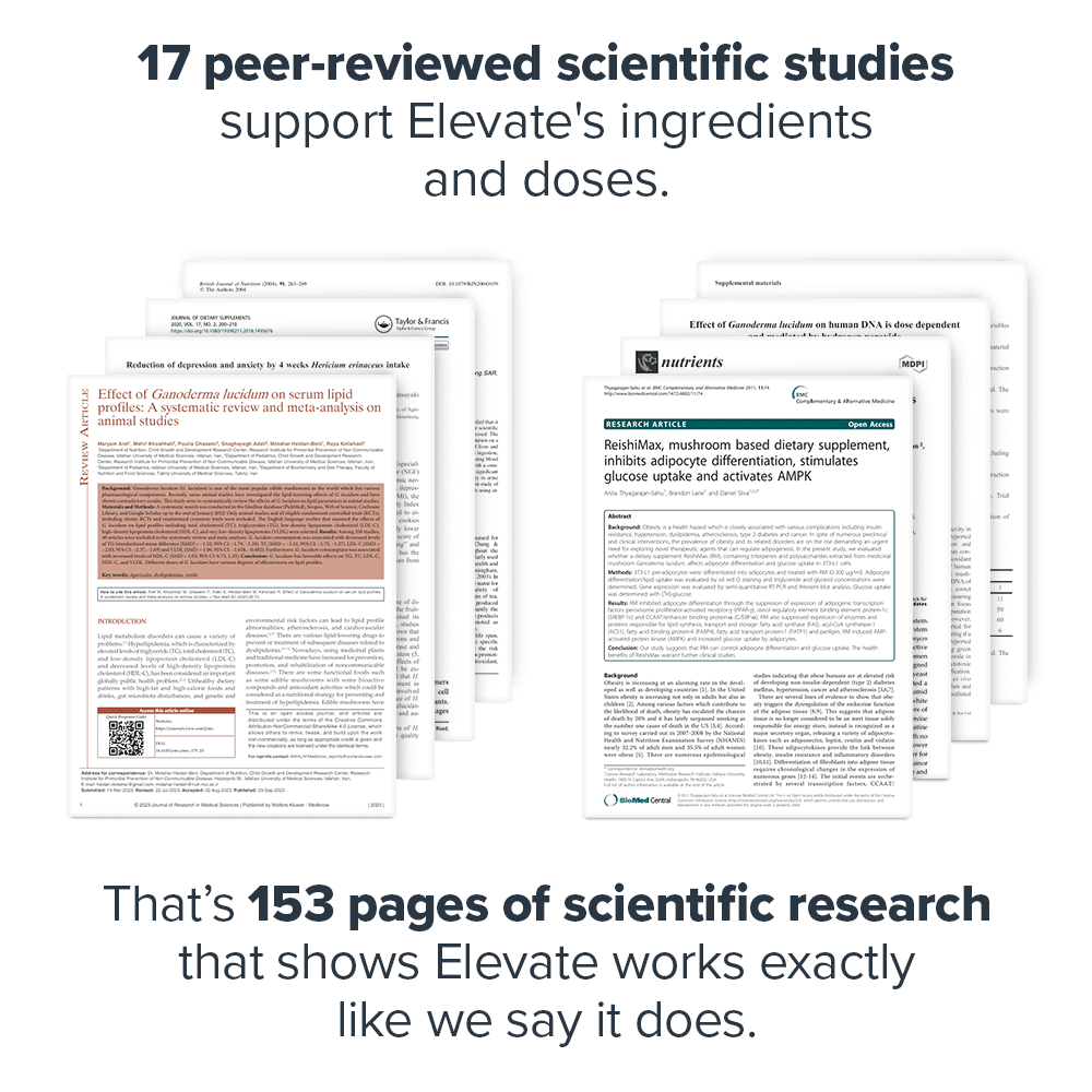 Elevate Mushroom Supplement
