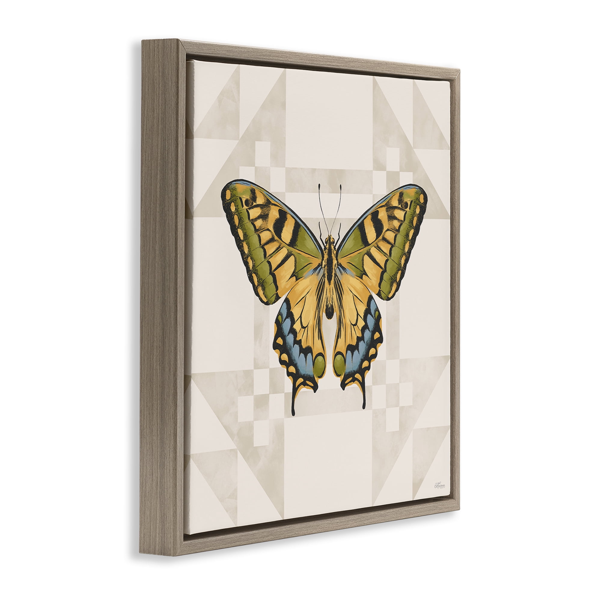 Stupell Industries Green Swallowtail Butterfly Brown Framed Floater Canvas Wall Art, design by Cat Thurman Designs