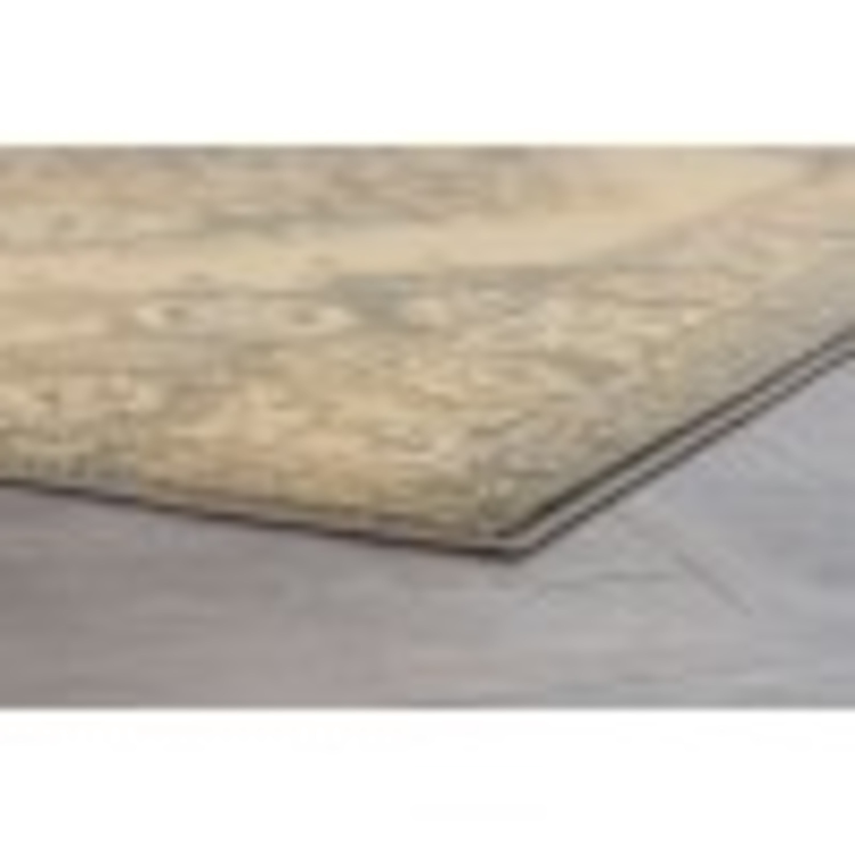 Transitional 2x3 Area Rug (2' x 3') Border Ivory, Beige Indoor Scatter Easy to Clean
