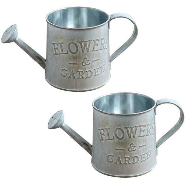 Metal Flower Vase Farmhouse French Buckets with Handle Milk Can Vase