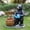 Black Bear, variant on Olurrisa Outdoor Garden Sculpture Bear Flower Pot Planter - Unique Yard Statue Decoration, Interesting Law Outdoor Ornament