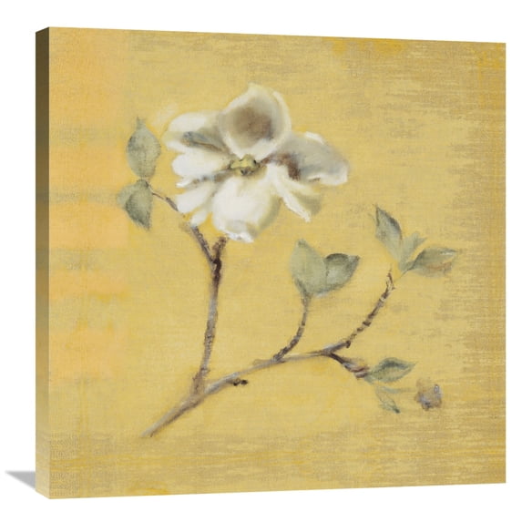 Global Gallery Cheri Blum 'Dogwood Blossom on Gold' Canvas Wall Art