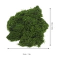 thumbnail image 2 of LITINKIMI Artificial Faux Moss Green Nylon 1 Bag For Garden And Office Environment, 2 of 8