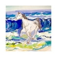 thumbnail image 1 of Betsy Drake DM957 Tapis de Porte pour Chevaux et Surf de 18 x 26 Po, 1 of 1