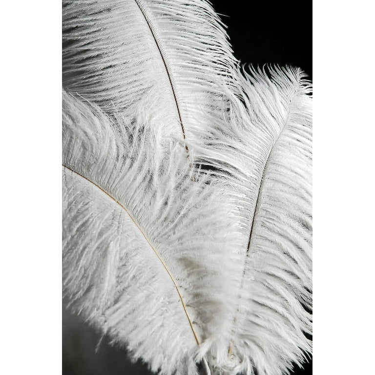 3 White Ostrich Feathers on Wire Stem - Save-On-Crafts