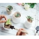 thumbnail image 5 of Mini Gardening Tools, 3pcs Portable Garden Hand Tools Set, Miniature Gardening Rake Trowel and Shovel for Seedlings (3pcs), 5 of 5