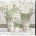 thumbnail image 1 of Great Art Now Amaryllis Multi Pots by Cindy Jacobs, Canvas Wall Art, 24W x 24H, 1 of 2