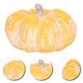 thumbnail image 4 of Miangastore Thanksgiving Ceramic Pumpkin Decor Fall Harvest Pumpkin Ornament Photo Prop, 4 of 8