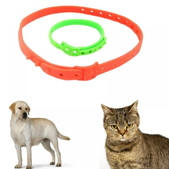 Cat Collar Kitten Collar Dog Collars for Girl Cats Cat Collars for Boy Catscat Collars Breakaway Gps Cat Collar Cat Tracker