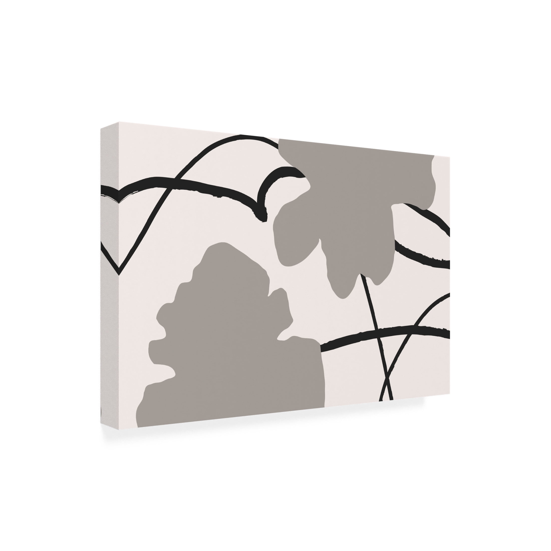 Trademark Fine Art Pictufy Studio II FLOWER WALL Canvas Wall Art