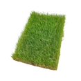 thumbnail image 2 of lionlar Static Grass Tuft Model Hand Torn Lawn Tufts for Sand Table Railway Building Spring Green, 2 of 9