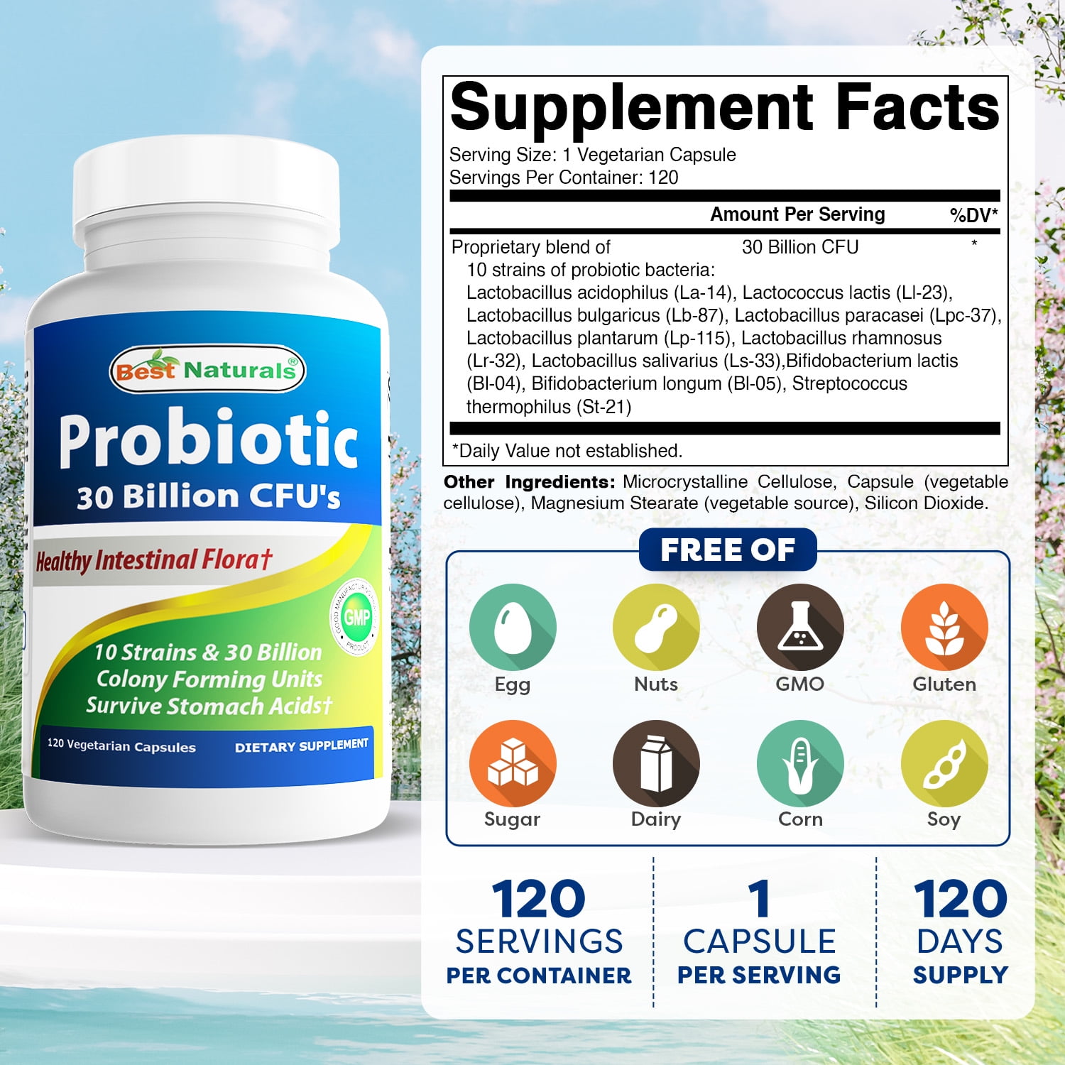 2 Pack Best Naturals Probiotic 10 Strains & 30 Billion CFU Intestinal Flora 120 Vegetarian Capsules | Shelf Stable probiotic