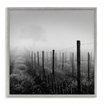 Stupell Industries Vineyard at Dawn Landscape & Nature Photography Gray Framed Art Print Wall Art, 24 x 24
