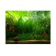 thumbnail image 1 of Decorative PVC adhesive paper for aquarium (122 x 46 cm), 1 of 4