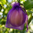 thumbnail image 4 of 100Pcs Fruit Protection Bags, Green Netting Cover Bags Drawstring Mesh Fruit Protectors Pest Barrier for Tomato Mango Trees Veggies Garden(S,Purple), 4 of 6