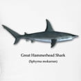 thumbnail image 3 of CafePress - Great Hammerhead Shark Pajamas - Women's Light Pajamas, 3 of 4