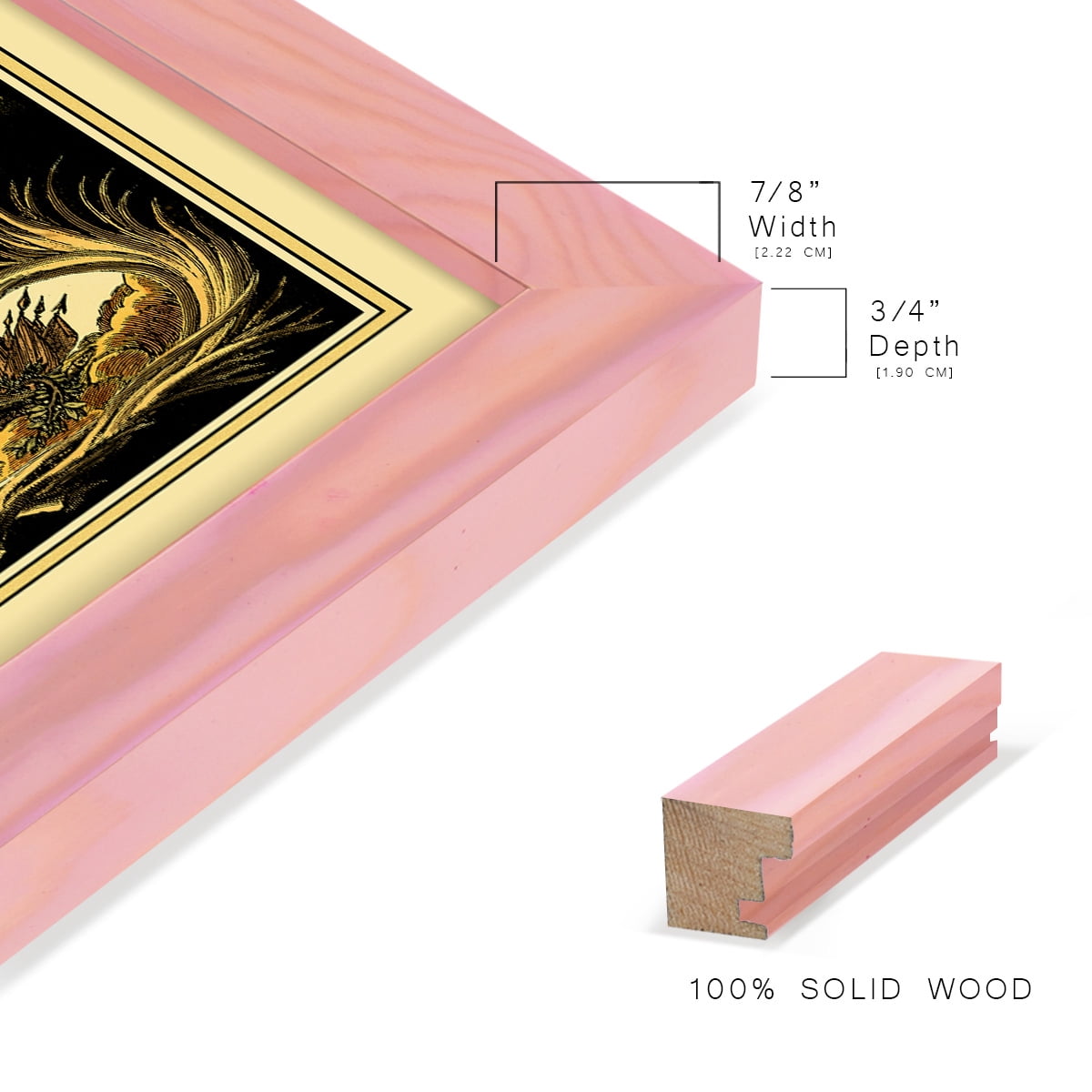 Family Crest III -Framed Print w/glass-Sunset Pink