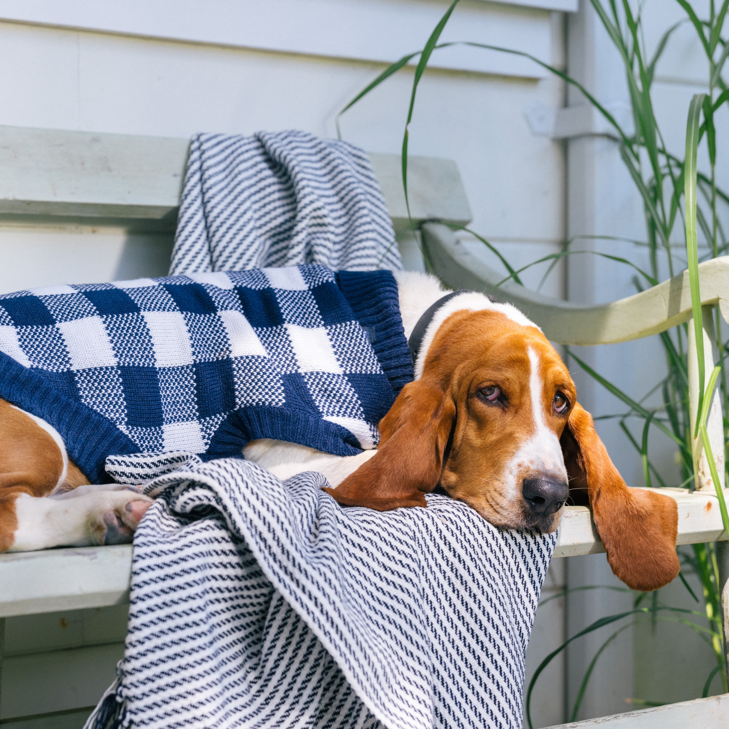 Gap Pet, Dog Clothes, Blue Buffalo Plaid Pet Sweater