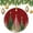 Pattern-4, variant on Ornament Hello Winter Holiday 2024 Ornament Vintage Christmas Christmas Tree Ceramic Ornament Decoration Merry Xmas for Family & Friends