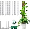 8 Pcs 24 Inch Plastic Moss Pole for Plants Monstera,8×24'' Plant Poles for Climbing Plants, Indoor Plants Moss Pole Work with Sphagnum Moss, Plant Support Kit for Climbing Plants