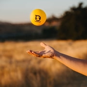 Spikeball: Standard Balls - 2 Pack - 3.5 Yellow & Black, Roundet Yard Game Accessory, Replacement-Extra Rubber Ball Set, Sports-Outdoor-Beach Play