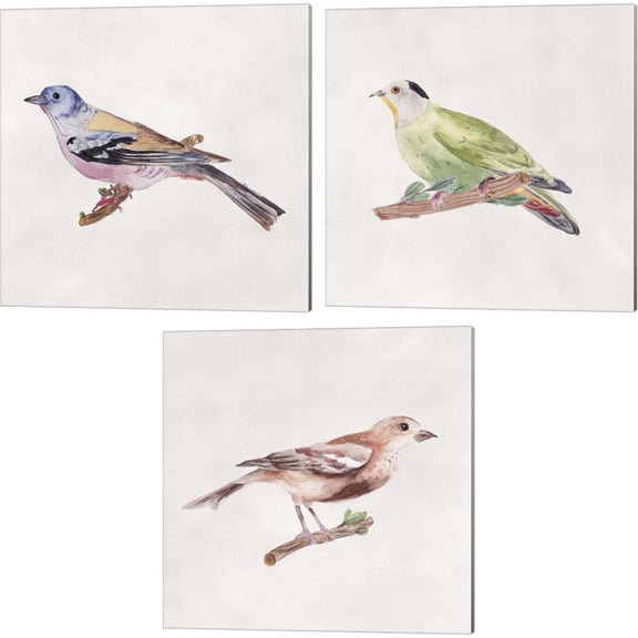 Great Art Now Bird Sketch by Melissa Wang 3 Piece Canvas Art Set Each 14W x 14H
