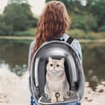 thumbnail image 5 of HEYMKGO Cat Bag Pet Backpack Pet Travel Bag Large Capacity Backpack - Comfortable Shoulder Design, Breathable Mesh and Portable Travel [Cat≤13kg Dog≤10kg](Transparent + Grey), 5 of 9