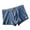 Dark Blue, variant on PBFRDSJ Men Mesh Boxer Briefs Full Breathable Hollow Elastic Waist Lightweight Sport Underwear for Daily Wear