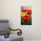 thumbnail image 2 of Cuadro Decorativo Planta 40x60cm Túlipanes, 2 of 6
