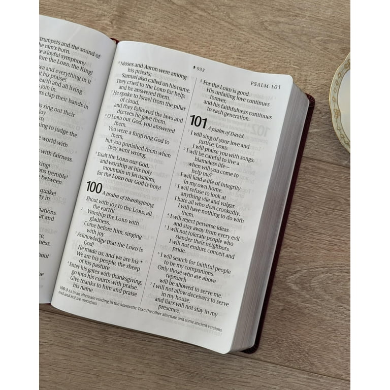 NLT Giant Print Bible, Filament-Enabled Edition (LeatherLike