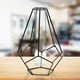 thumbnail image 5 of Florero , maceta de , terrario, soporte geométrico de Metal, florero de , Estilo 2 Negro Macarena jarrón hidropónico, 5 of 7